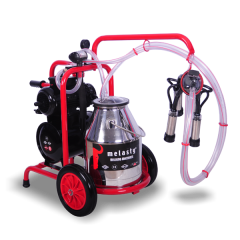 Melasty TK 1-PK Tekli Sağım Makinesi (Büyükbaş)